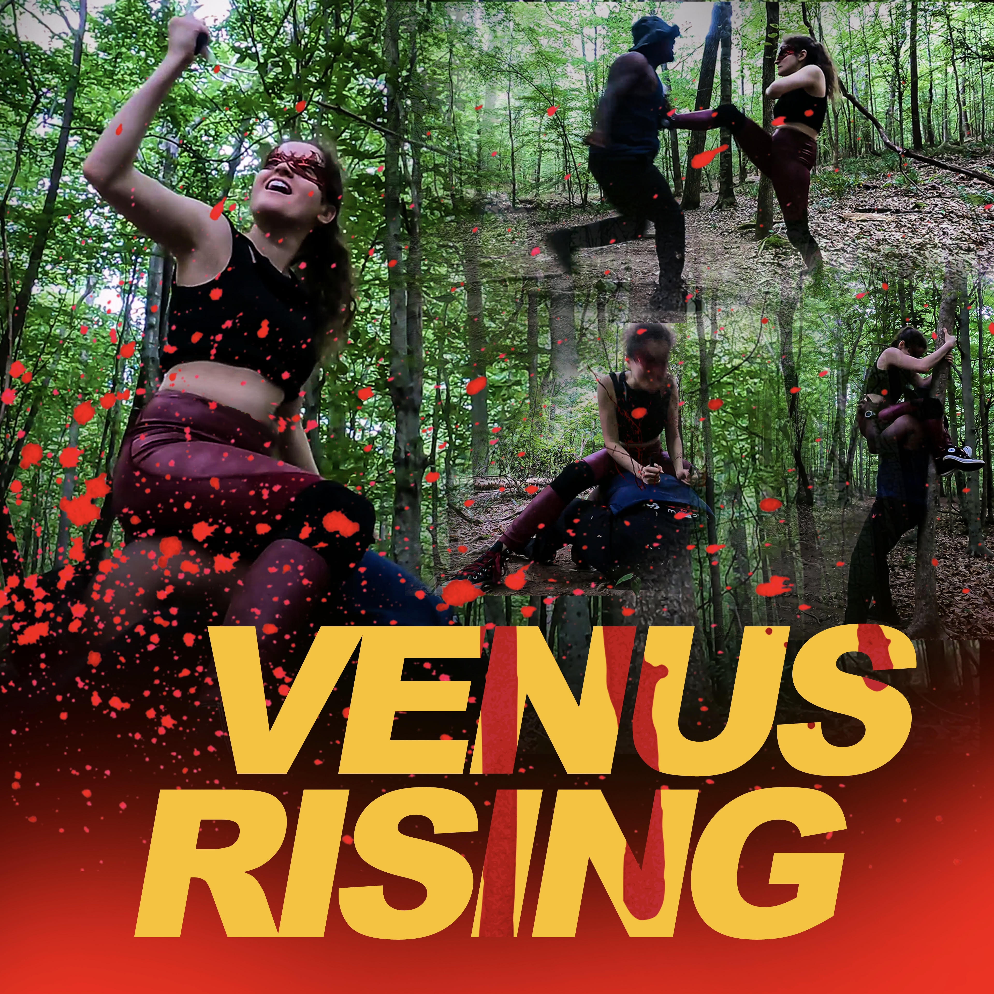 #3 - Venus Rising