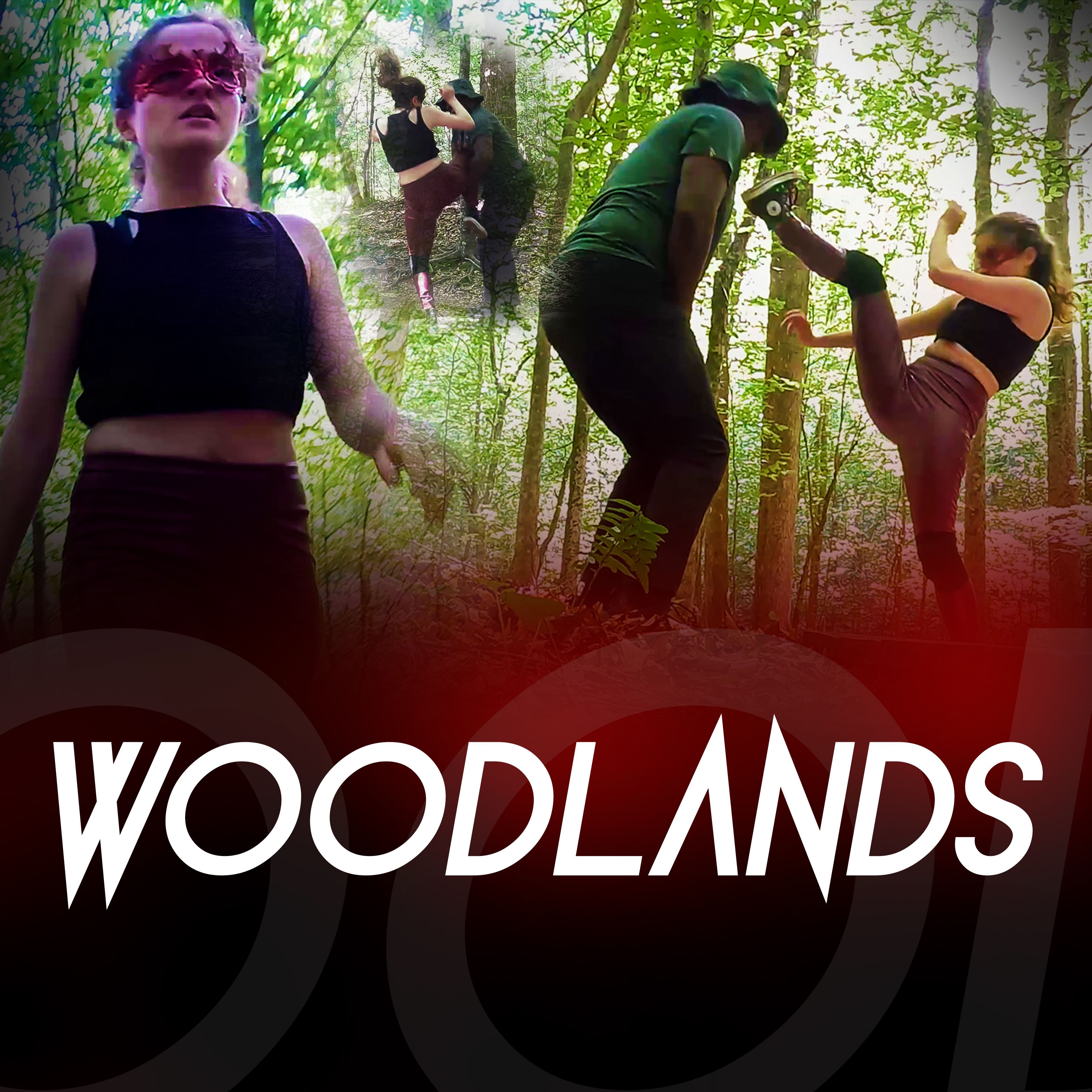 #8 - Woodlands