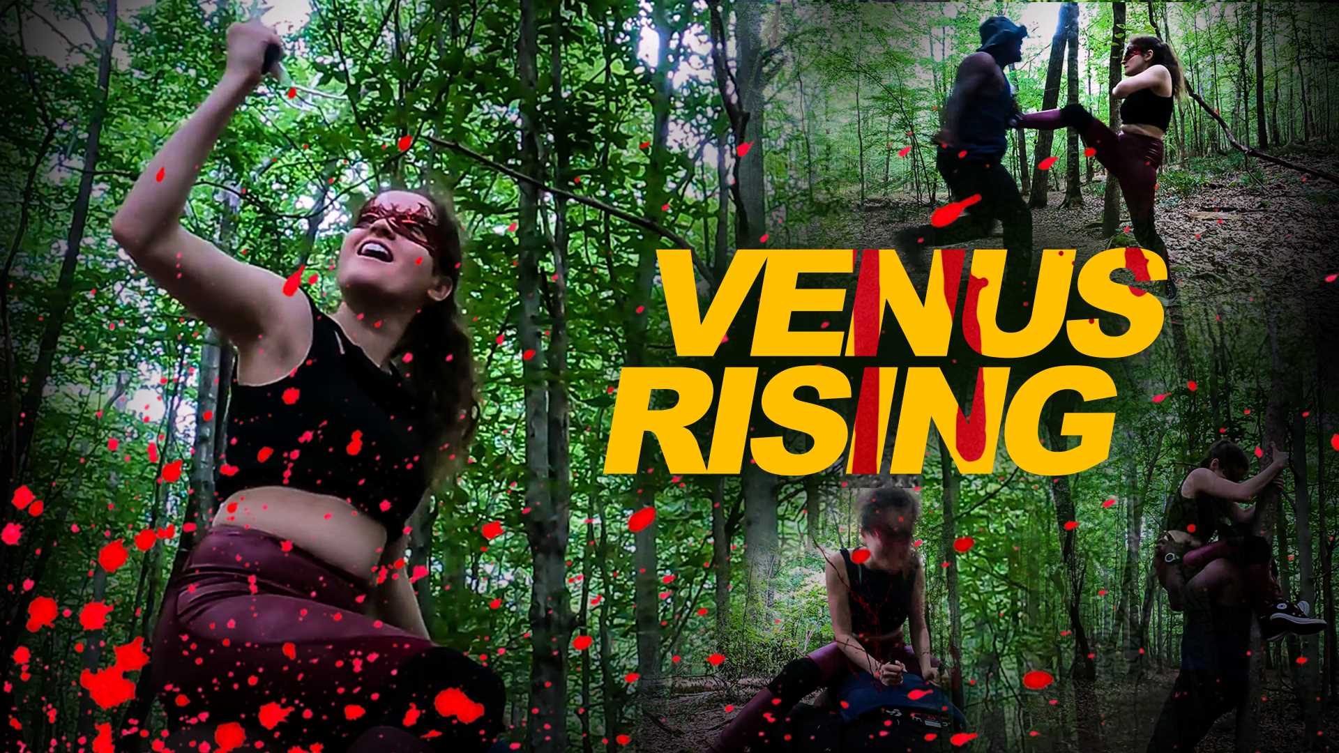 #2 - Venus Rising